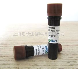 Mouse Anti-M13 antibody HRP conjugated