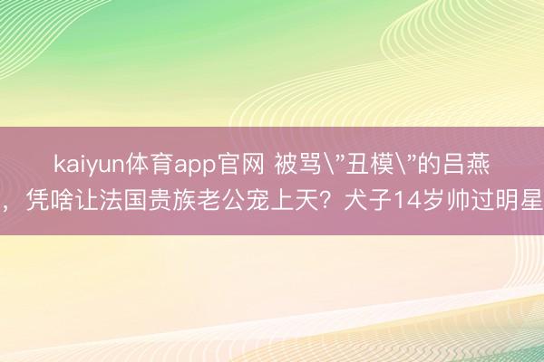 kaiyun体育app官网 被骂