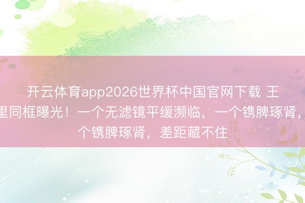 开云体育app2026世界杯中国官网下载 王菲谢霆锋暗里同框曝光！一个无滤镜平缓濒临，一个镌脾琢肾，差距藏不住