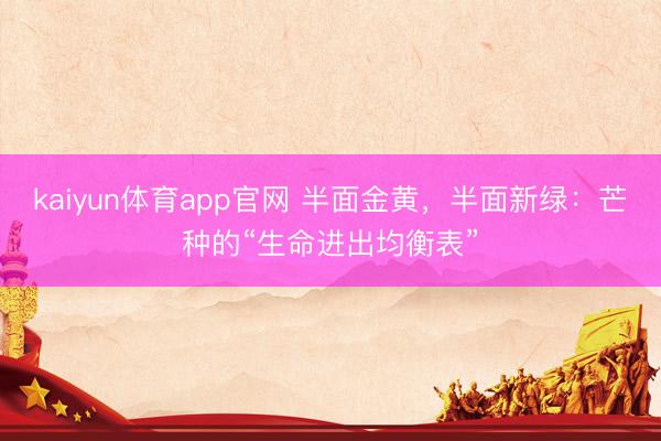kaiyun体育app官网 半面金黄，半面新绿：芒种的“生命进出均衡表”