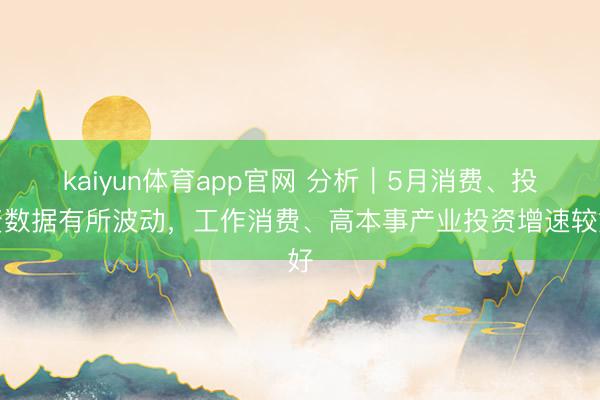 kaiyun体育app官网 分析｜5月消费、投资数据有所波动，工作消费、高本事产业投资增速较好